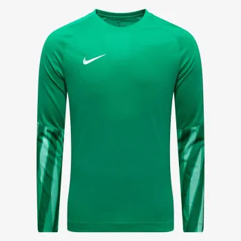 Nike M NK DF PARK V GK JSY LS 