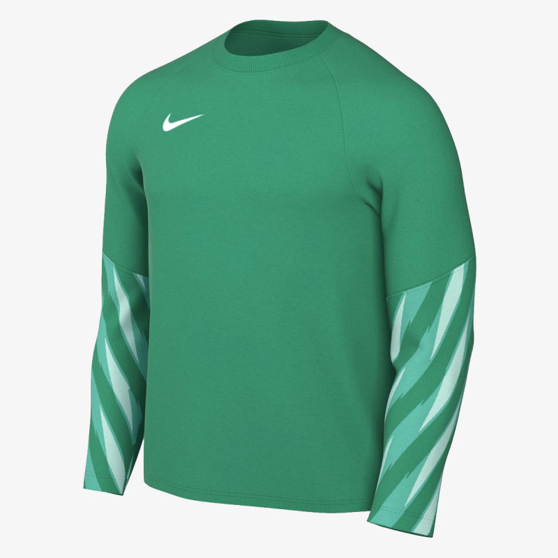 Nike M NK DF PARK V GK JSY LS 