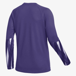 Nike W NK DF PARK V GK JSY LS 
