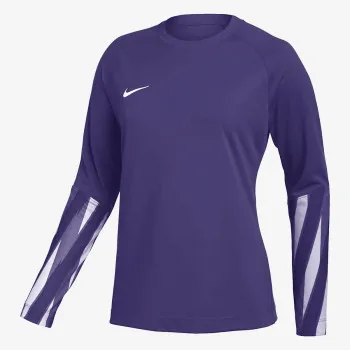 Nike W NK DF PARK V GK JSY LS 