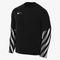 Nike Y NK DF PARK V GK JSY LS 