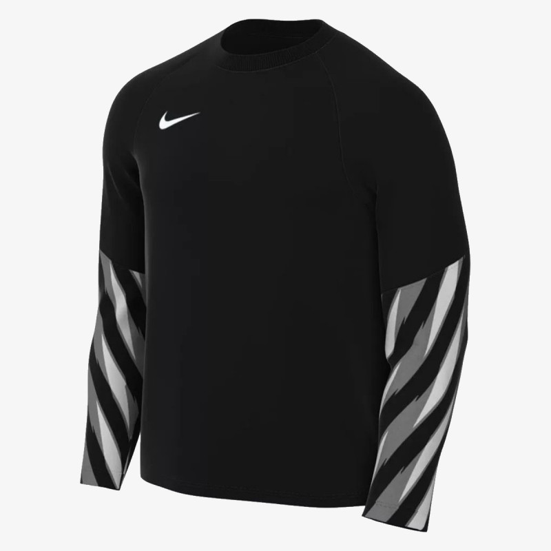 Nike Y NK DF PARK V GK JSY LS 