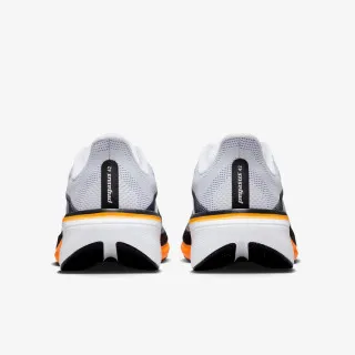 Nike Pegasus 42 
