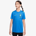 Nike CBF Academy Pro 