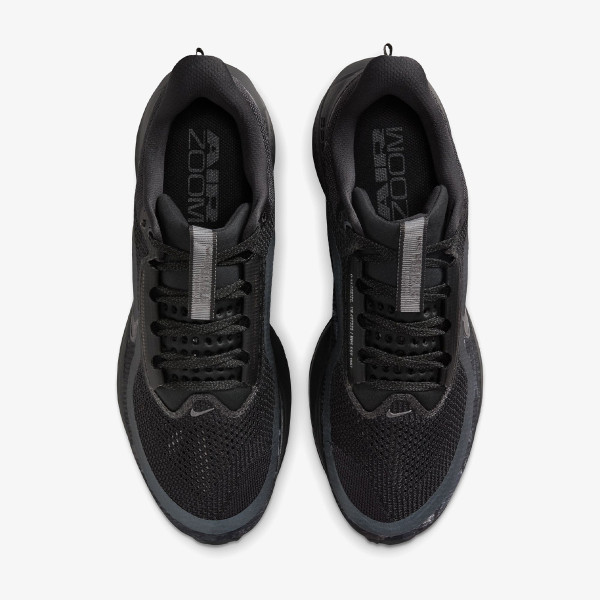 Nike Pegasus Premium 