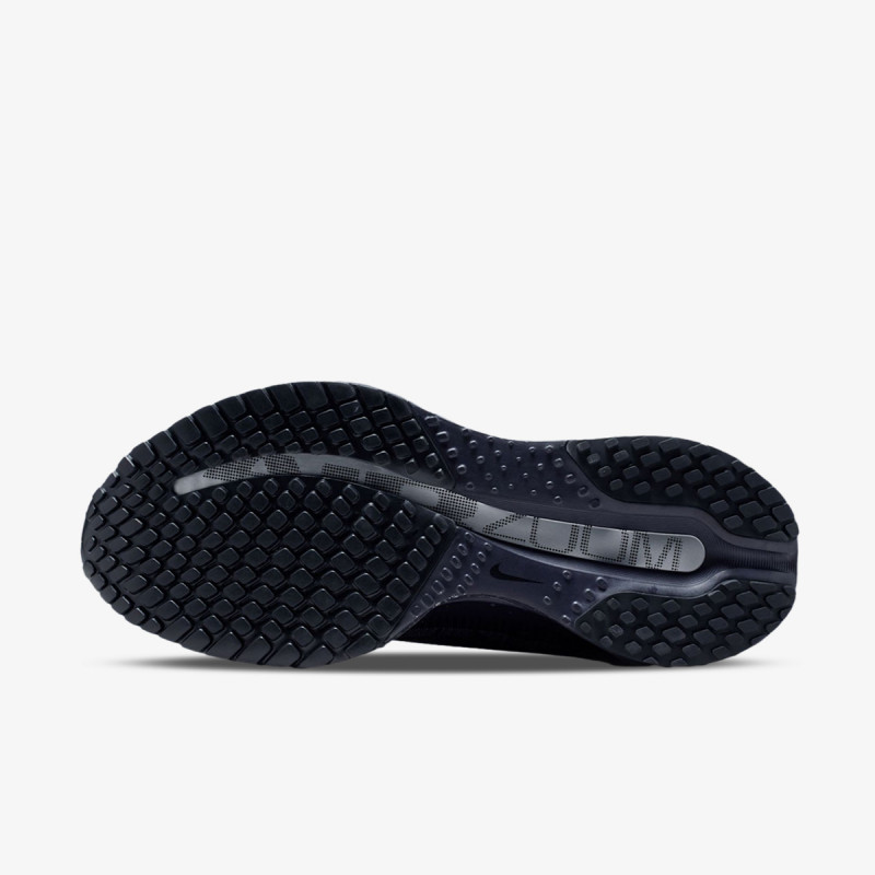 Nike Pegasus Premium 