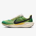 Nike Air Zoom Pegasus 41 SE 