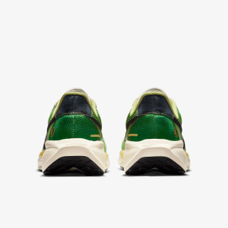 Nike Air Zoom Pegasus 41 SE 