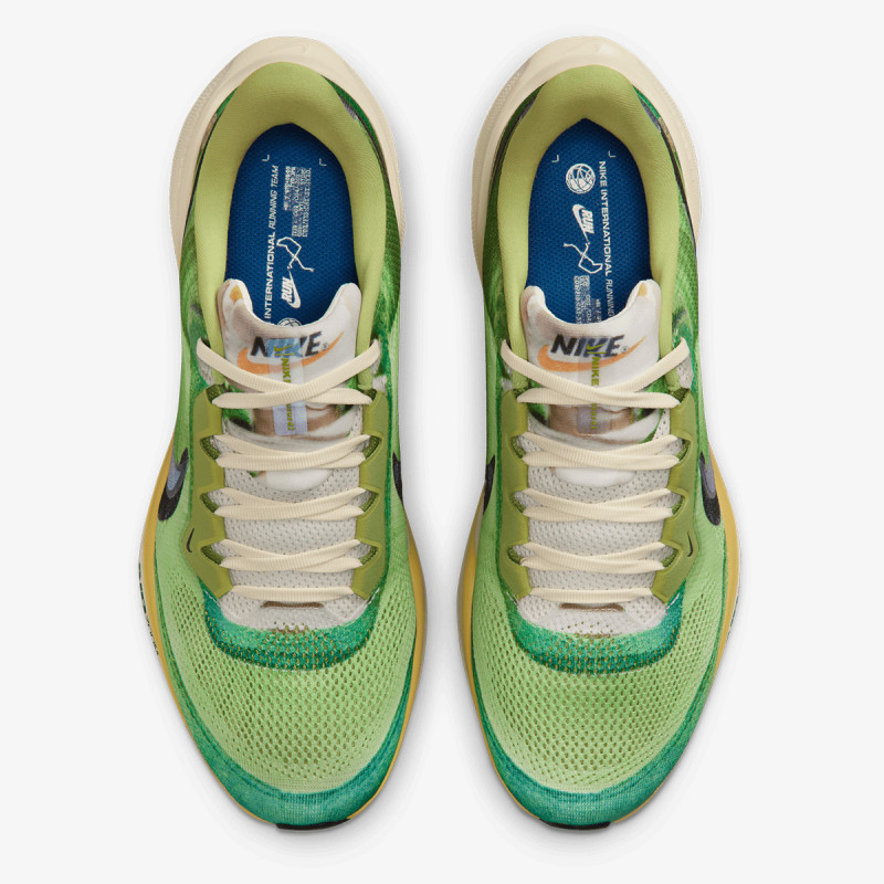 Nike Air Zoom Pegasus 41 SE 