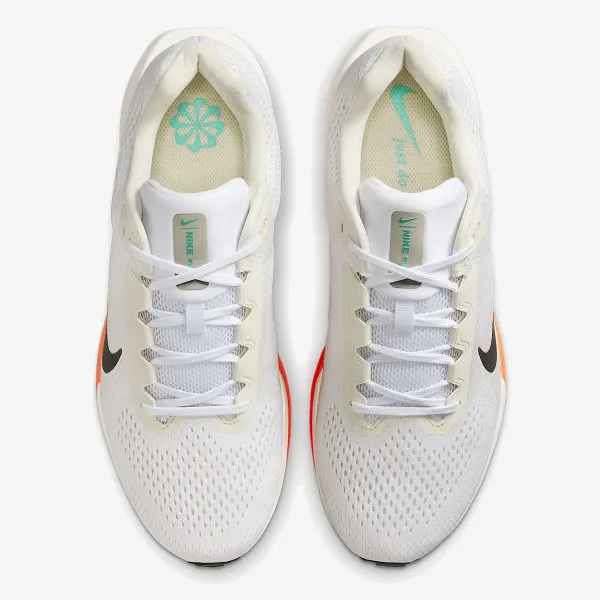 Nike Air Winflo 11 