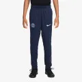 Nike Paris Saint-Germain 