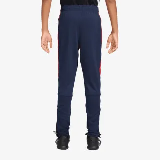 Nike Paris Saint-Germain 