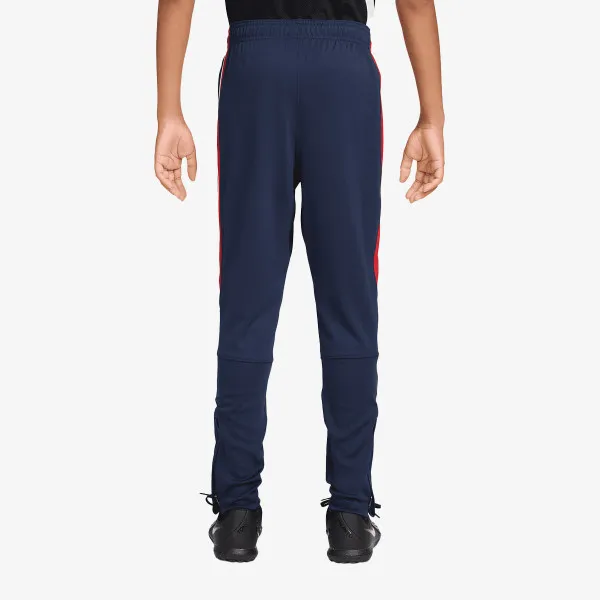 Nike Paris Saint-Germain 