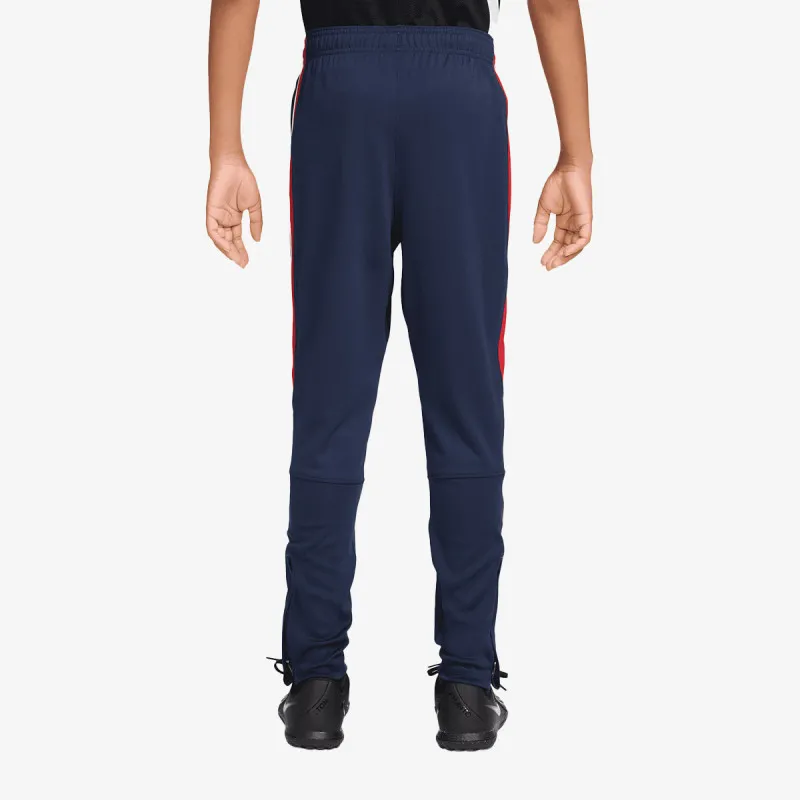 Nike Paris Saint-Germain 