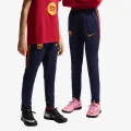Nike F.C. Barcelona 