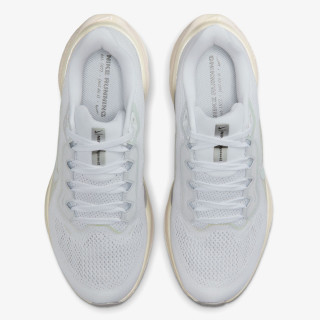 Nike Air Zoom Pegasus 41 