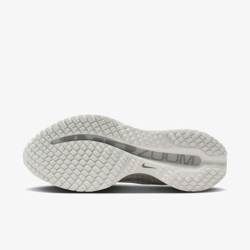 Nike Pegasus Premium 