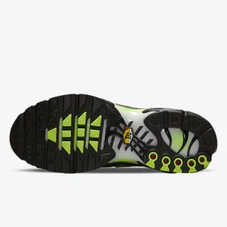 Nike NIKE AIR MAX PLUS AMD 