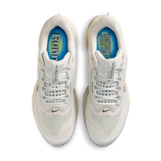 Nike Pegasus Premium 