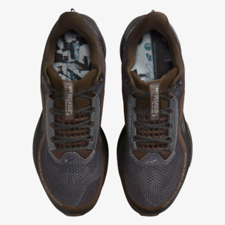 Nike Pegasus 