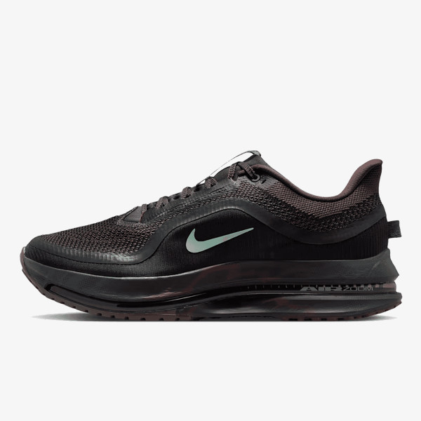 Nike Pegasus Premium 