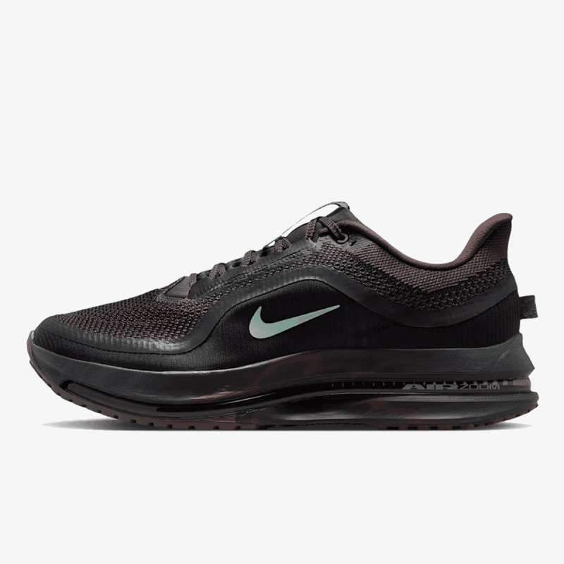 Nike Pegasus Premium 
