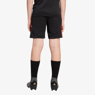 adidas TIRO24 TRSHOY 