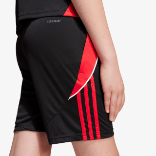 adidas TIRO24 TRSHOY 