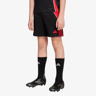 adidas TIRO24 TRSHOY 