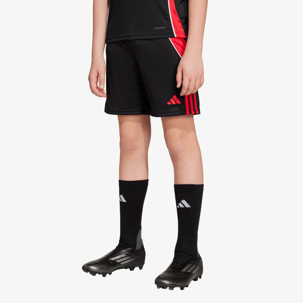 adidas TIRO24 TRSHOY 