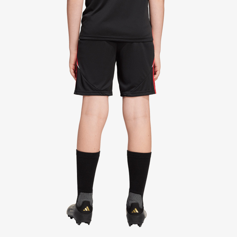 adidas TIRO24 TRSHOY 