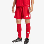 adidas TASTIGO25 SHO M 