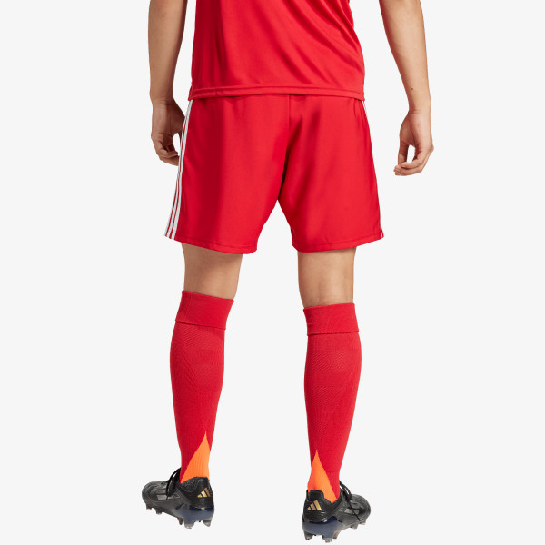 adidas TASTIGO25 SHO M 