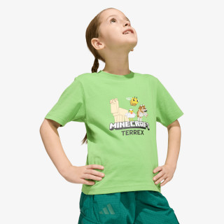 adidas Minecraft Terrex 