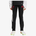 adidas LFC TR PNTY 