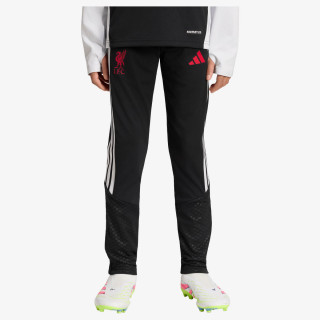 adidas LFC TR PNTY 