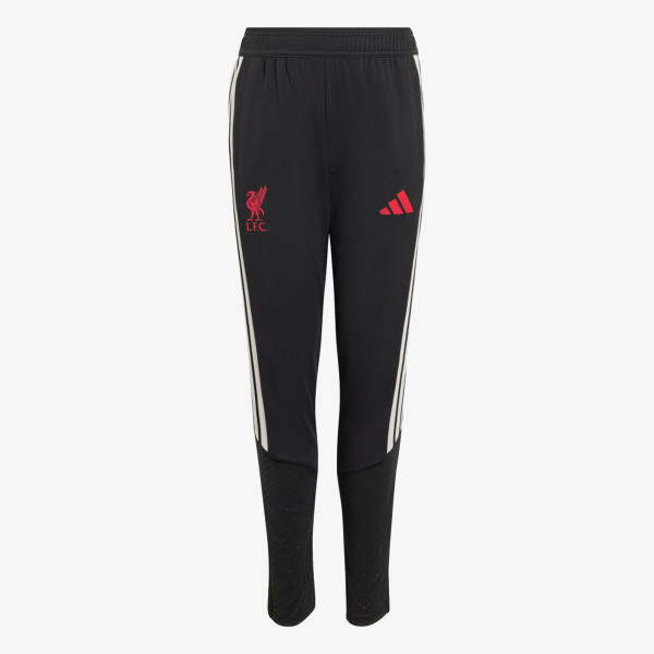 adidas LFC TR PNTY 