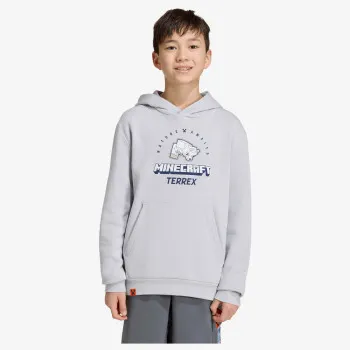 adidas Minecraft Terrex 