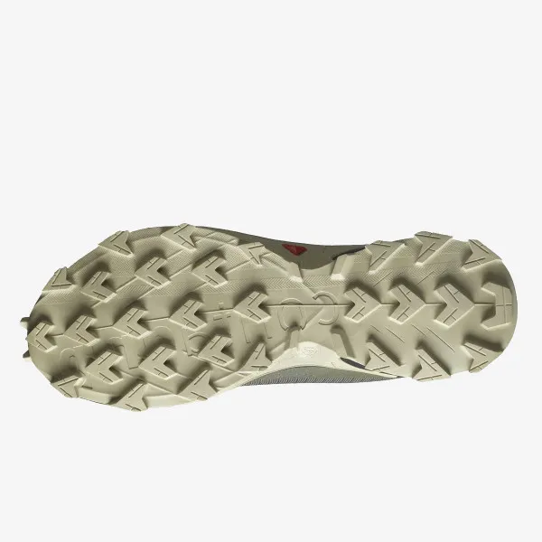 SALOMON ALPHACROSS 4 GTX 