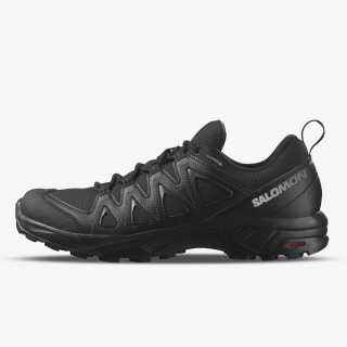 Salomon X Braze Gore-Tex 