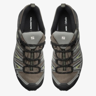 Salomon X Ultra Pioneer Gore-Tex 