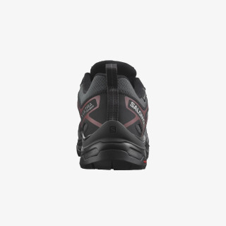 Salomon X Ultra Pioneer Gore-Tex 