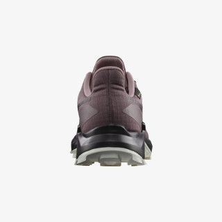SALOMON ALPHACROSS 5 GTX W 