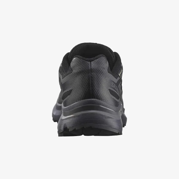Salomon XT-EVR GTX 