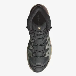 Salomon X Ultra 360 