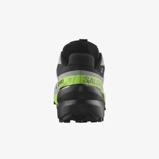 Salomon Speedcross 6 GTX 