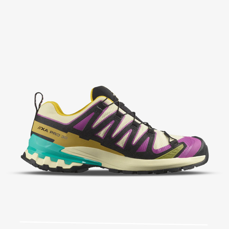 Salomon XA PRO 3D V9 GTX W Ty 
