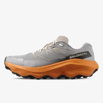 Salomon Shoes Ultra Flow 2 GTX 