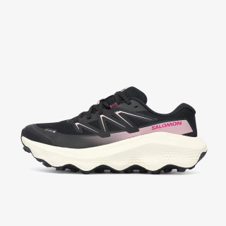 Salomon ULTRA FLOW 2 GTX W Bl 