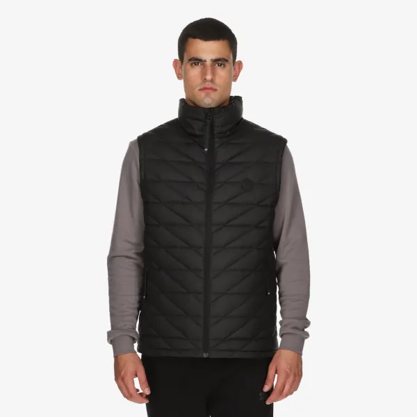 Mont Vest 